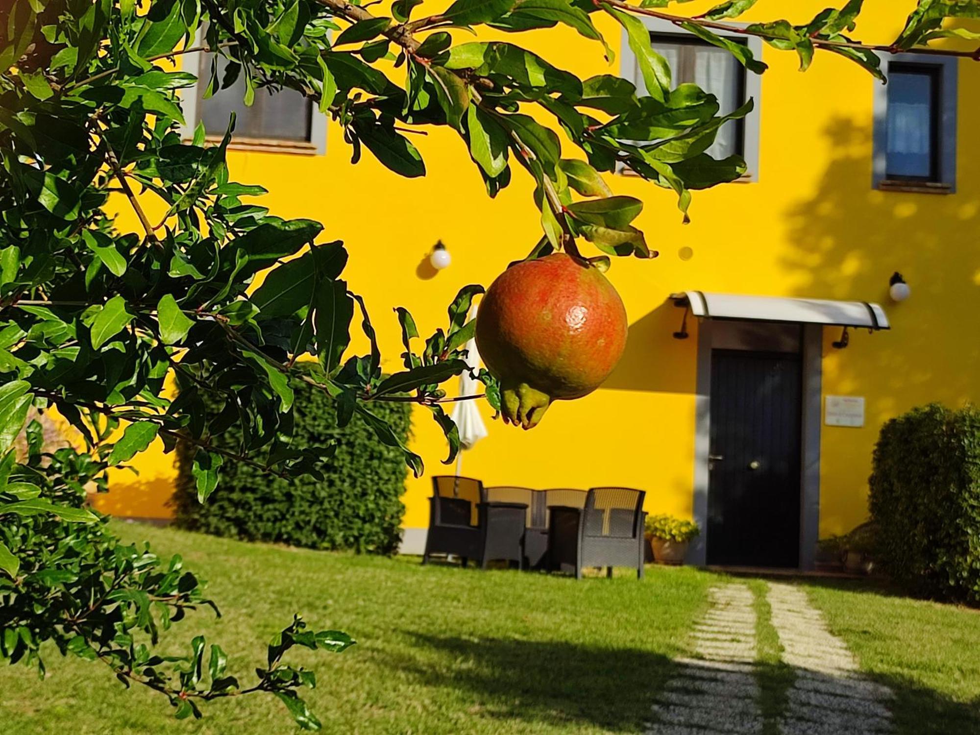 L'Olmo Di Casigliano Villa Cessapalombo Eksteriør bilde